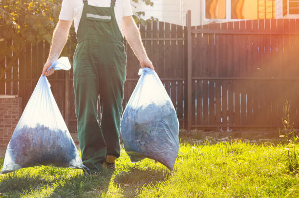 Yard Cleanup Services in Bridgeport, MI